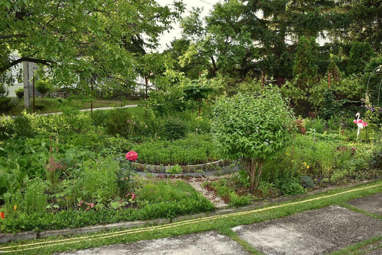 Tanay Vendeghaz Villa Balatonfured Luaran gambar